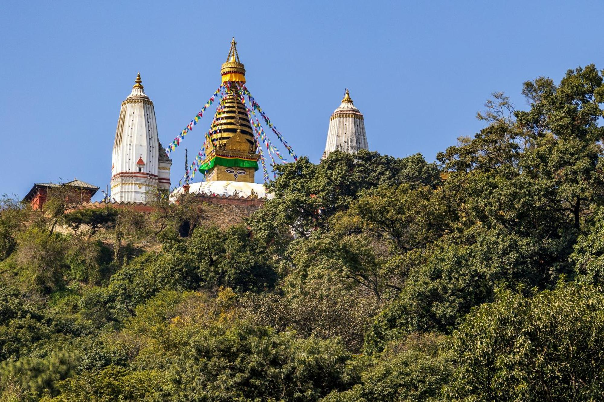 House Of Forrest, Service Apartments Kathmandu Exterior foto